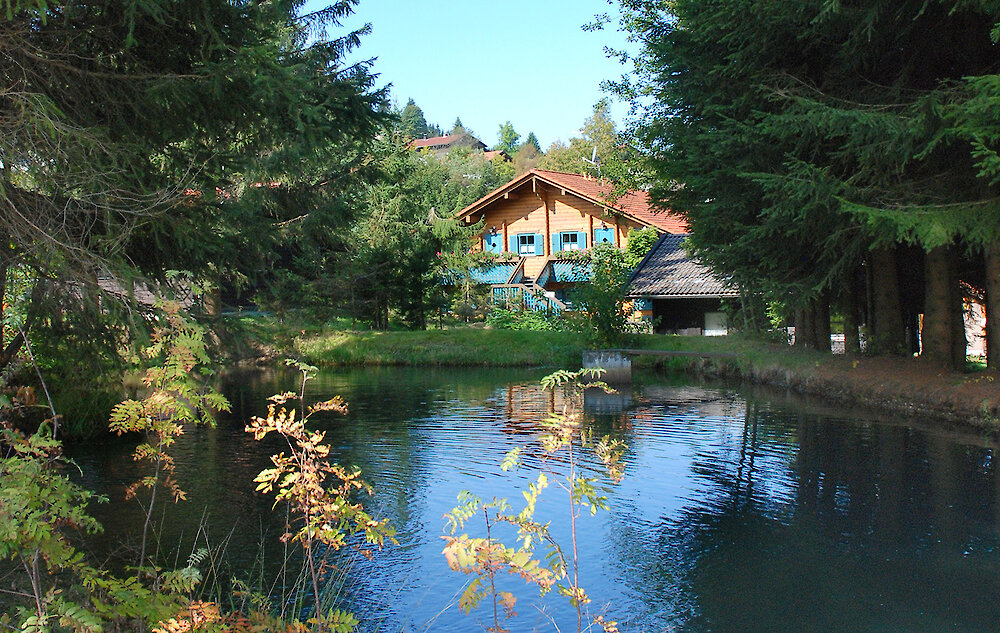 Ferienhaus Mitterdorf